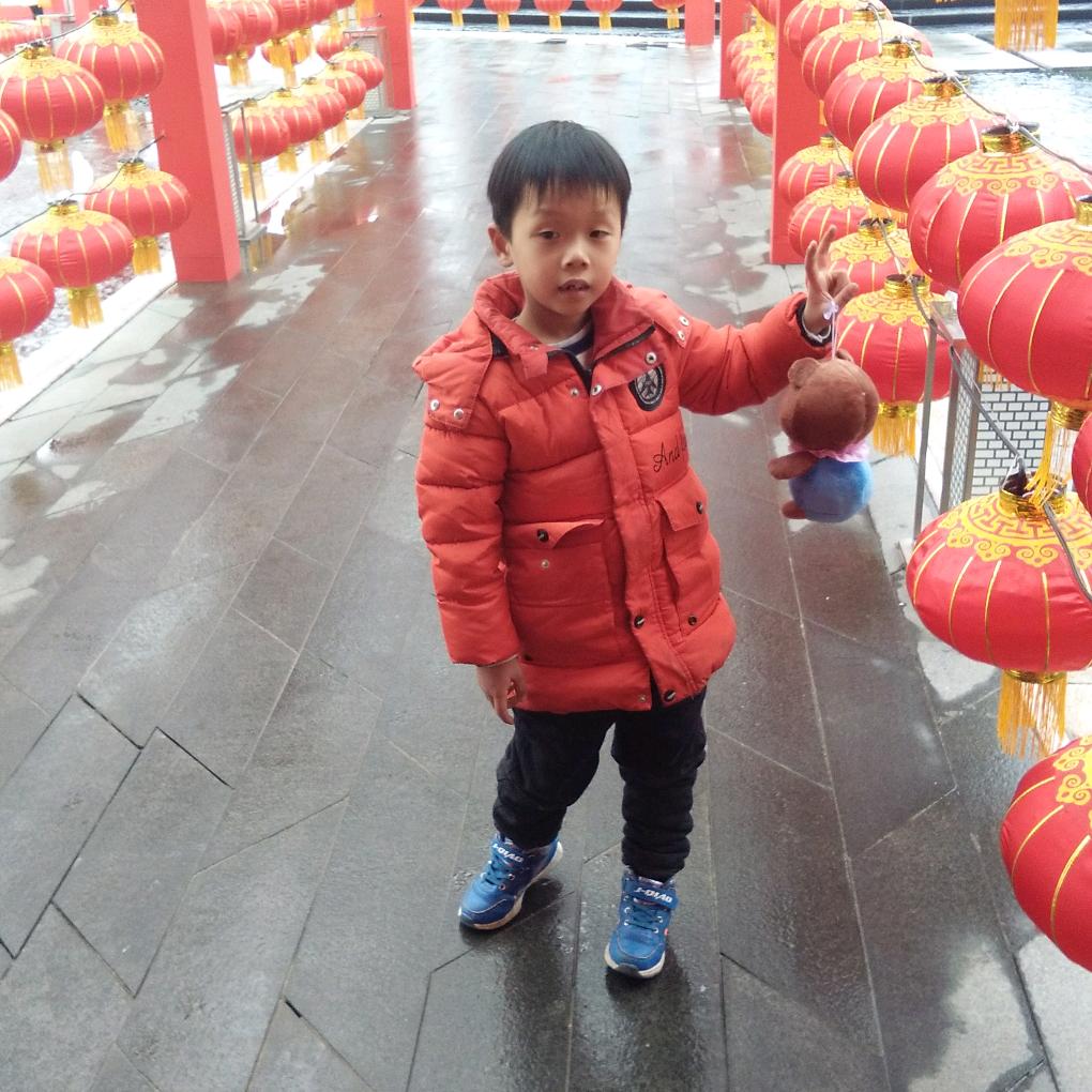 方维