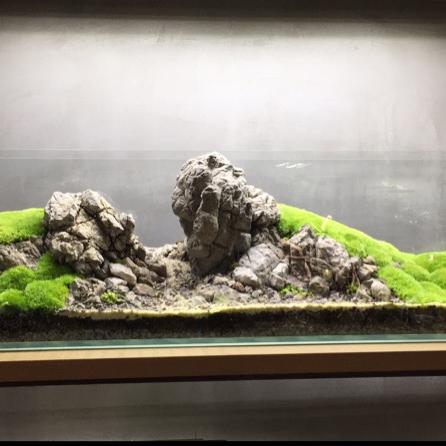 生草微景观