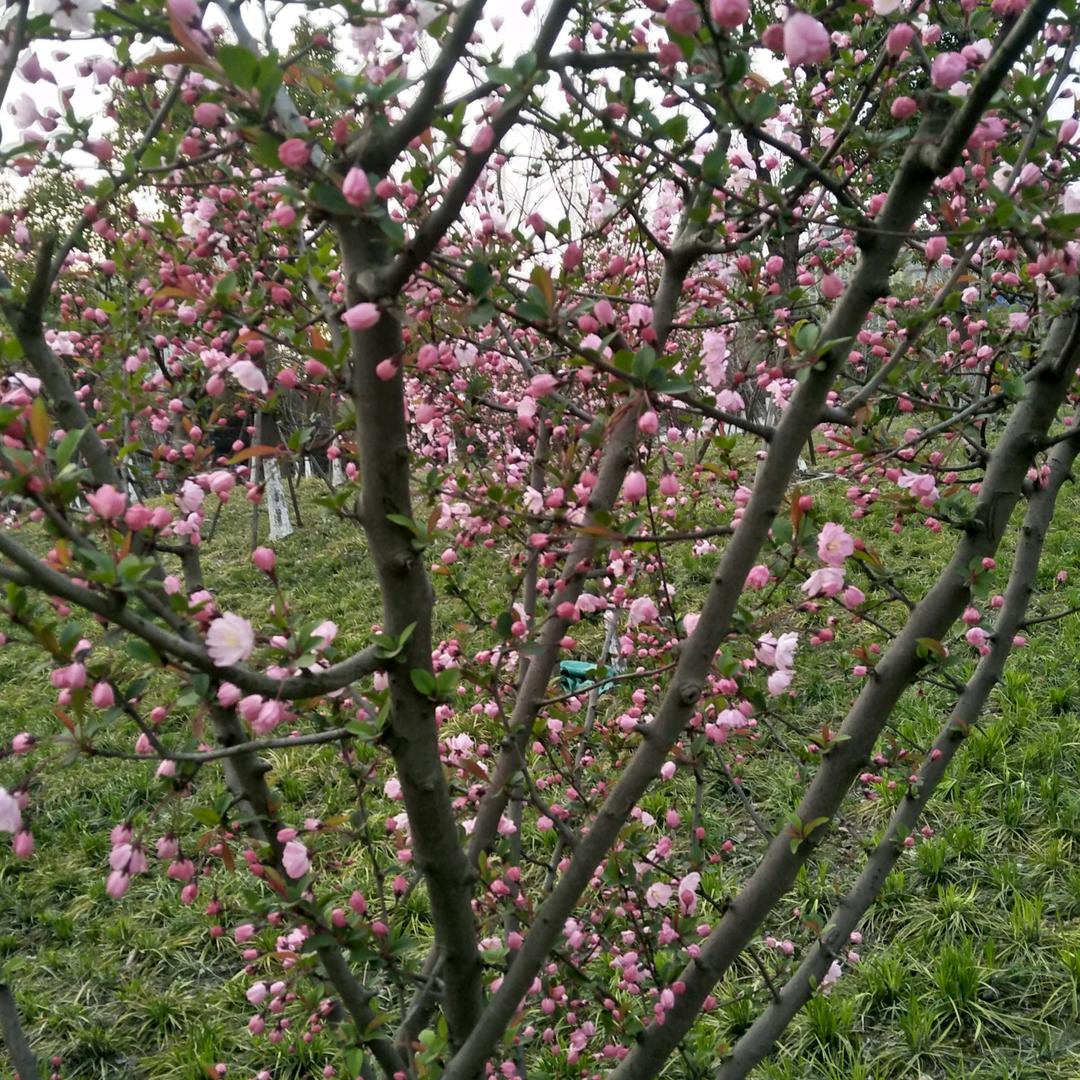 一生平安