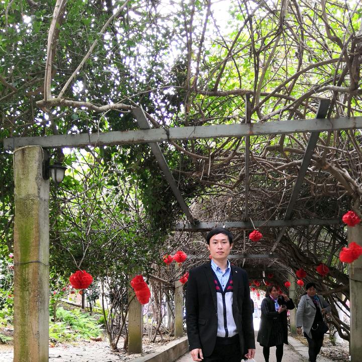 凌氏货运物流全国