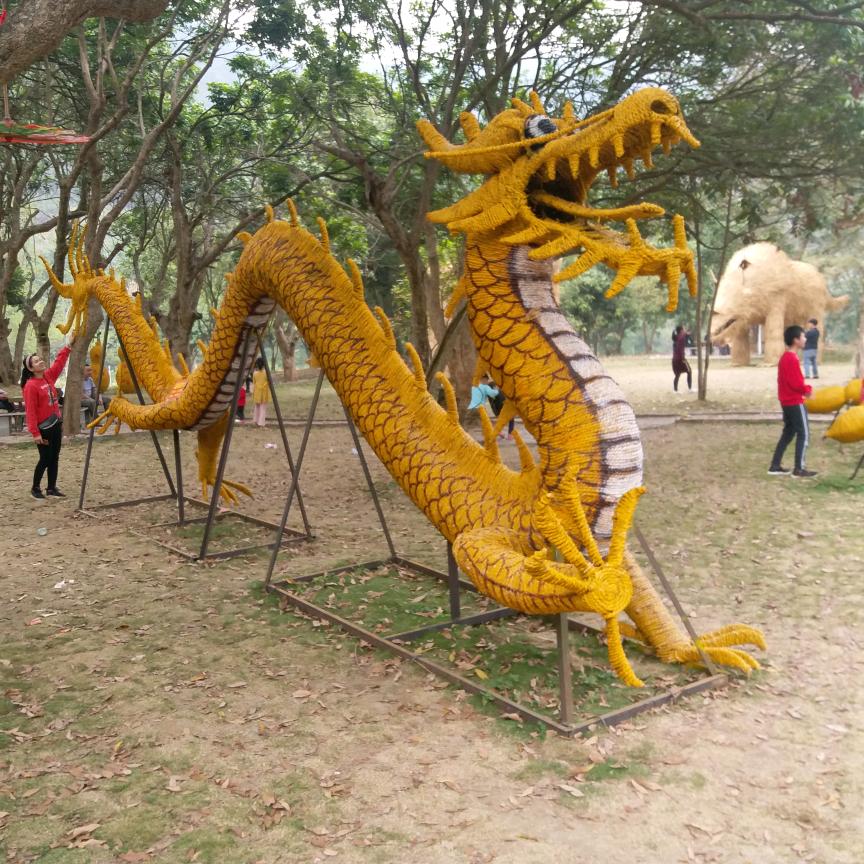 不甘平凡
