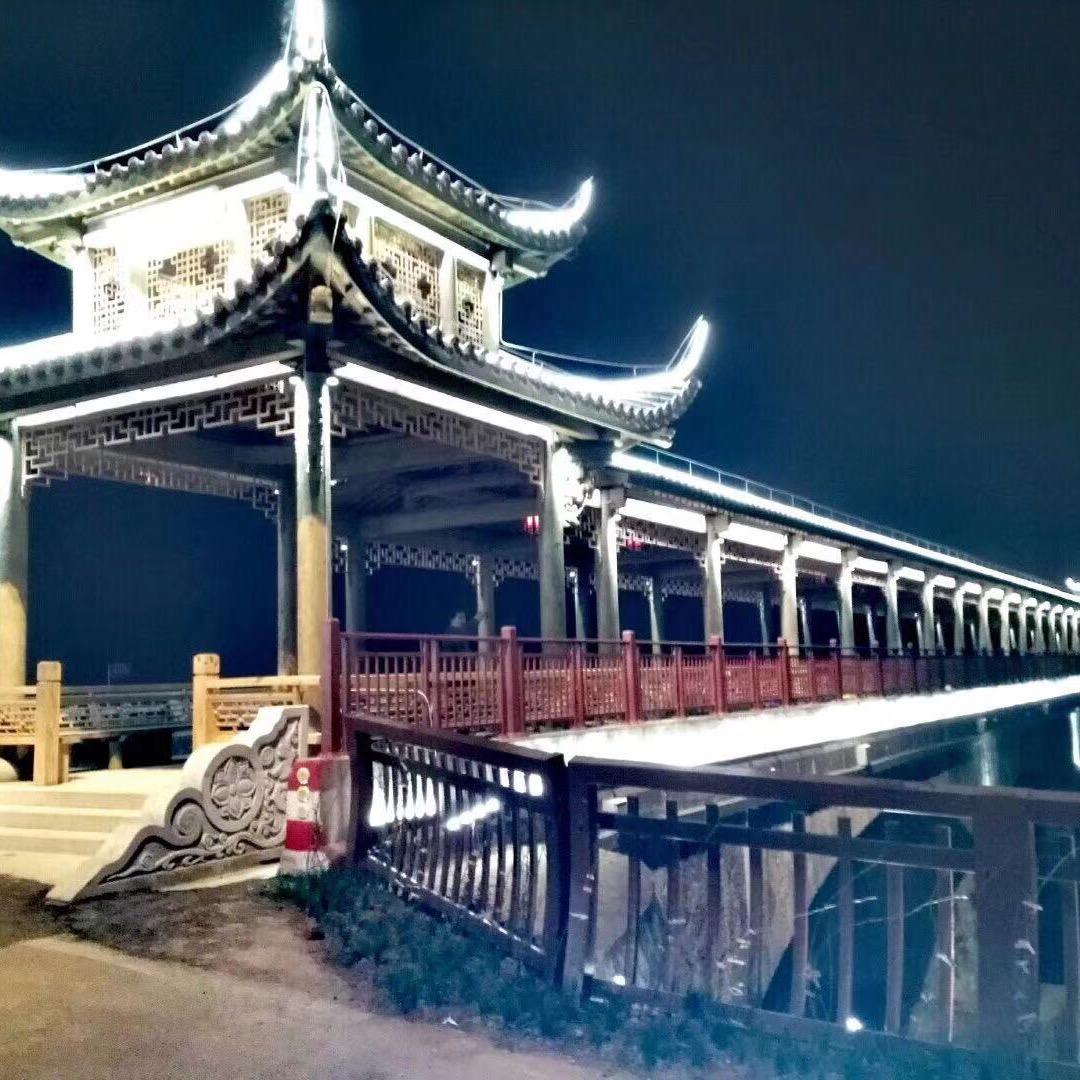 金华茶花•茶梅