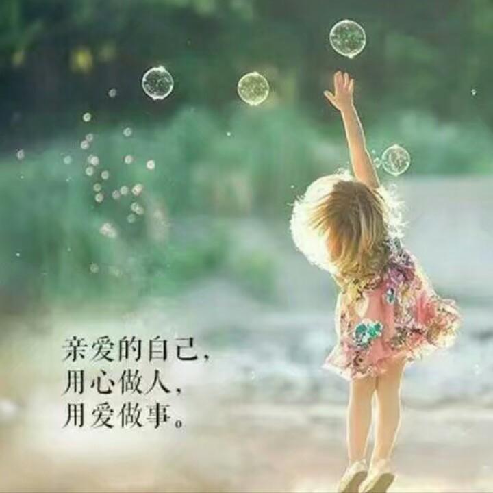 🌻向日葵🌻