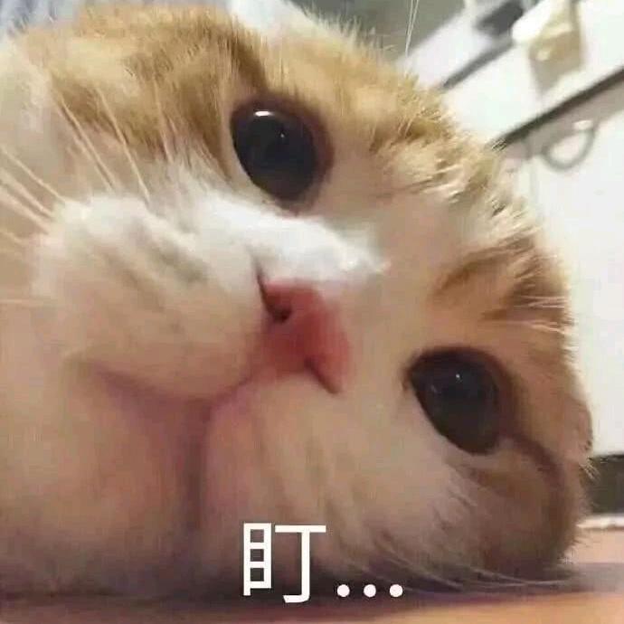 🌈你给我听好
