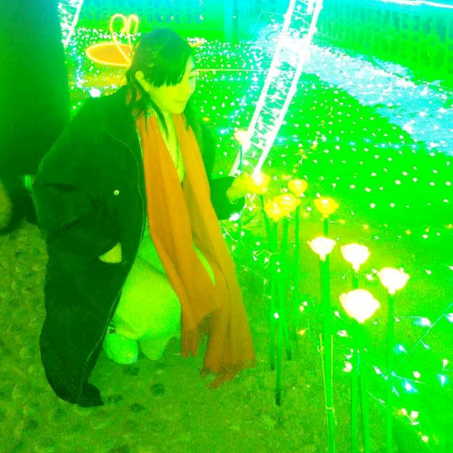 梦里水乡
