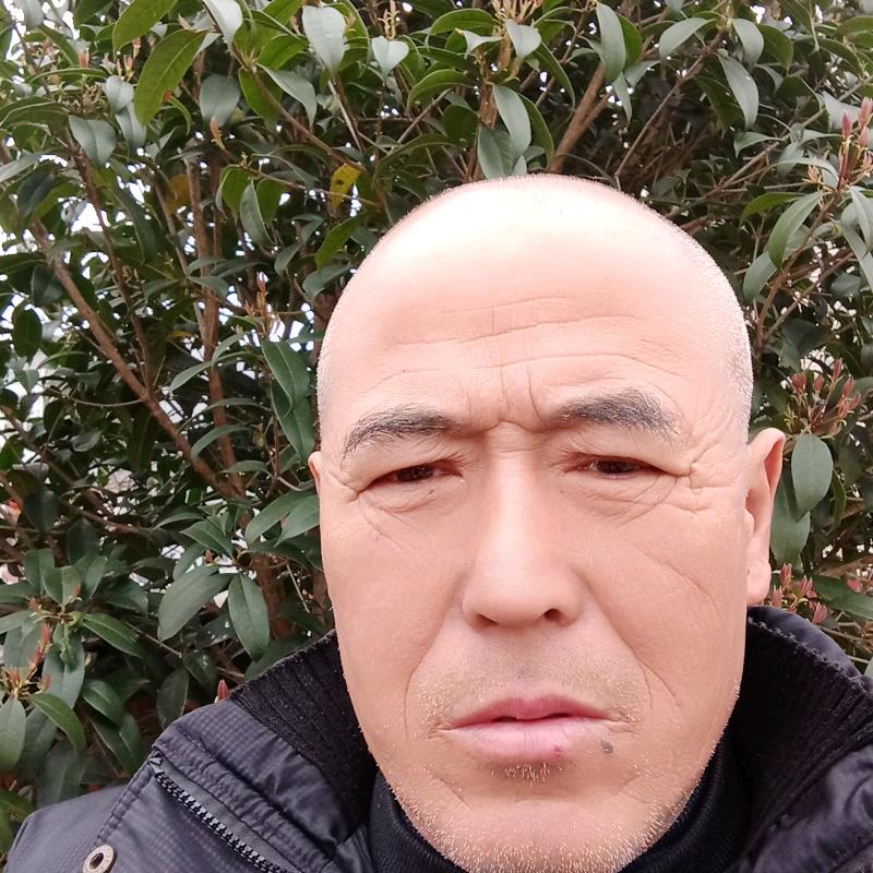 勿忘我