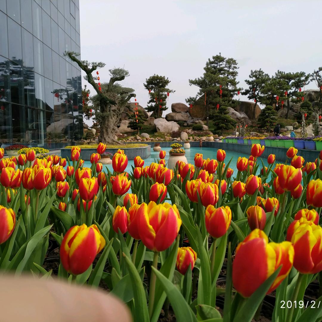 面朝大海，春暖花开
