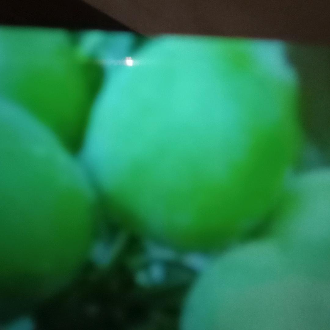 梅姐