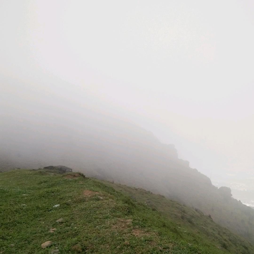随心想
