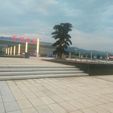 我就是我不一样的烟火(づ ●─● )づ