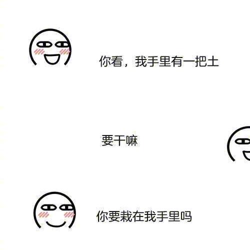 想自由的发财树