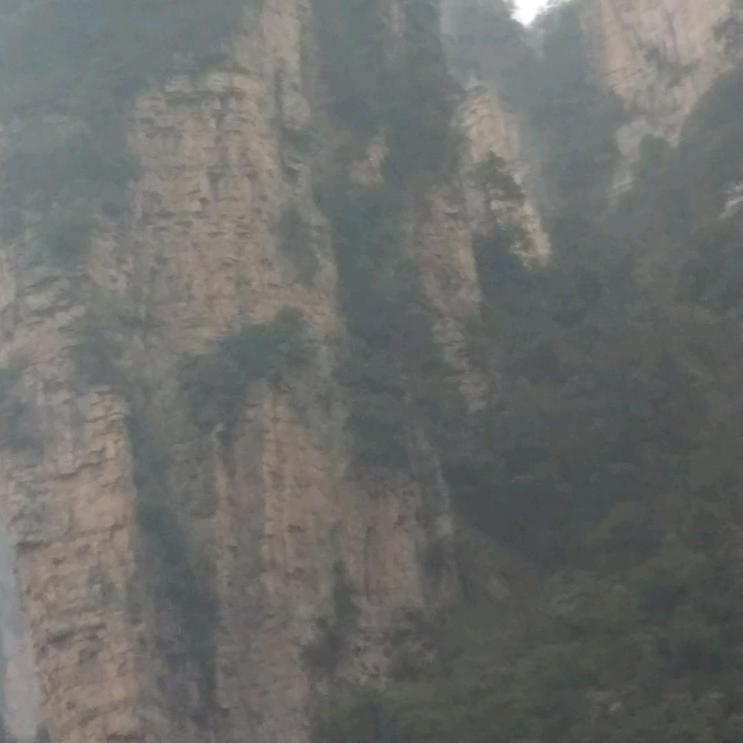 农资人