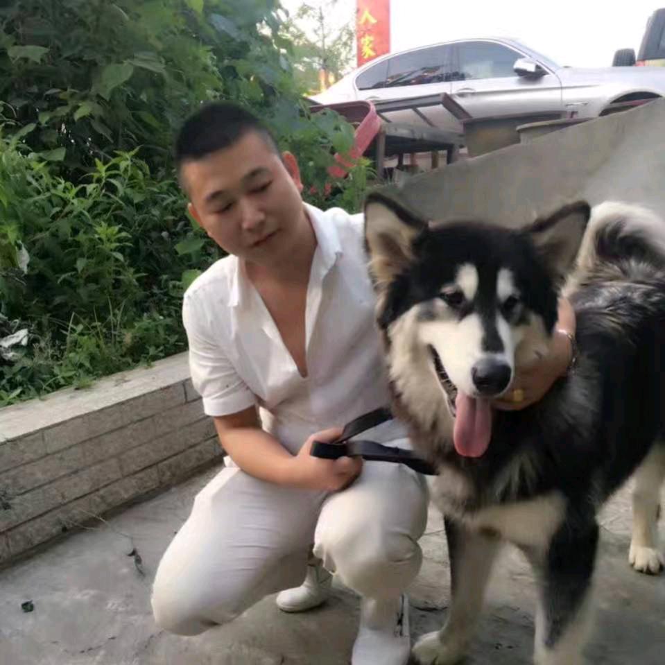 大丰收