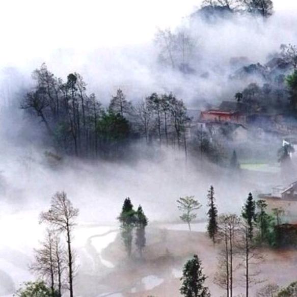 ✨云深不知处✨