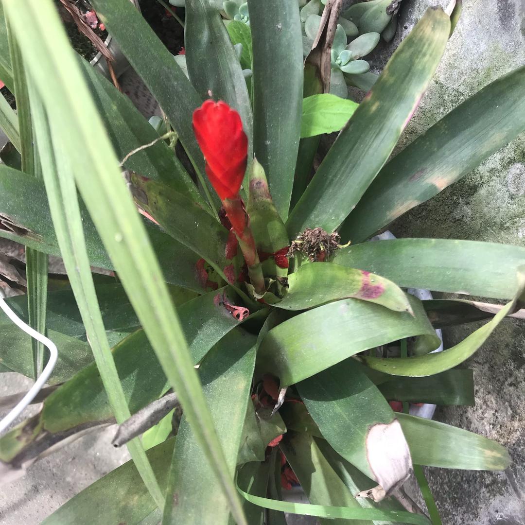 ❤️爱你😍一生一世