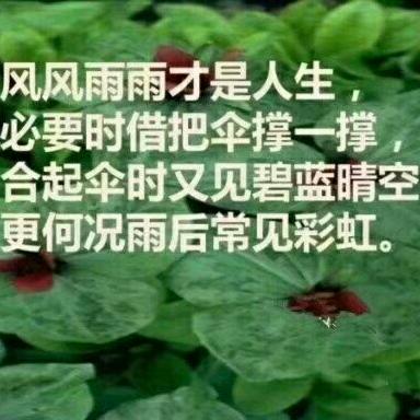 姐不是传说