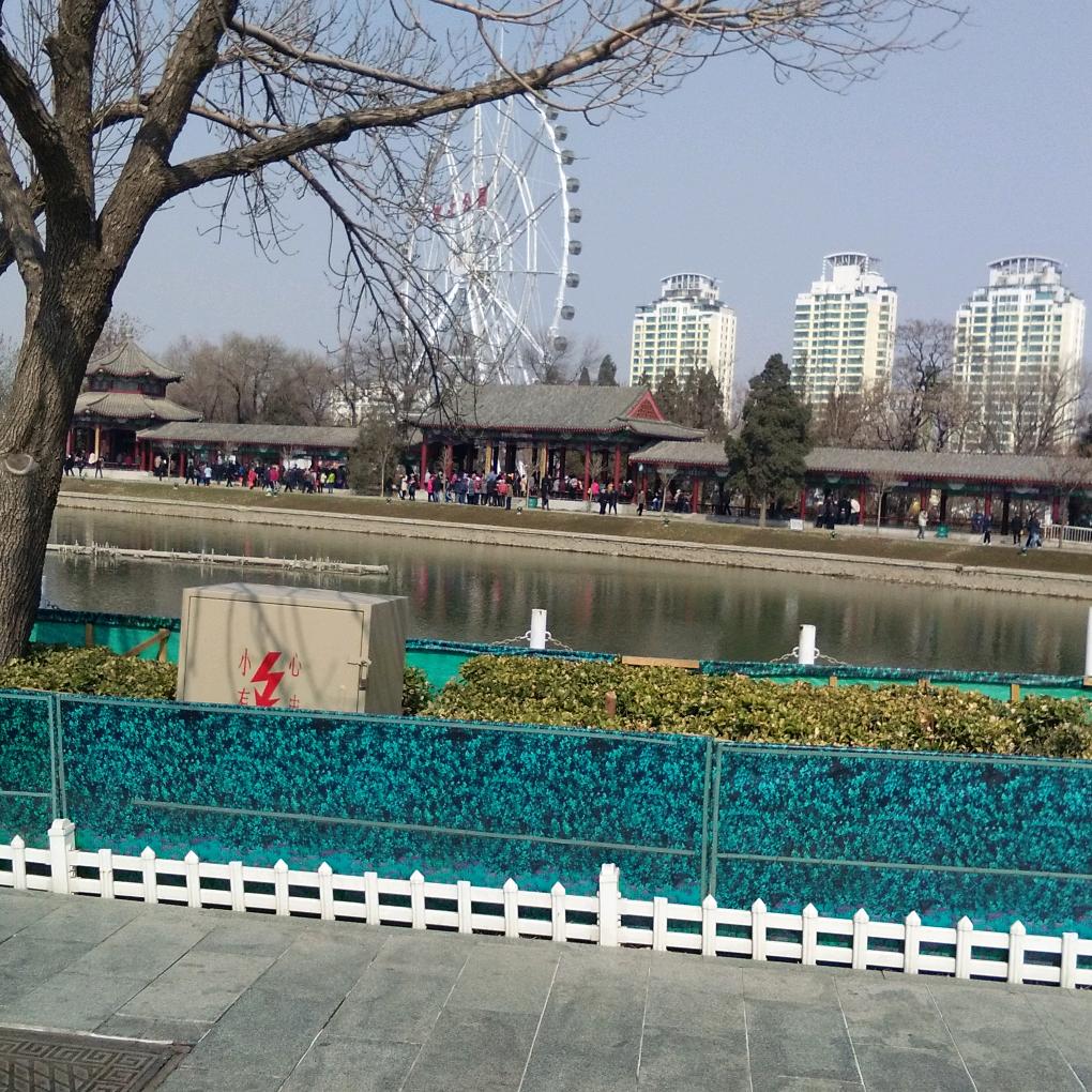 陈宇珞燕