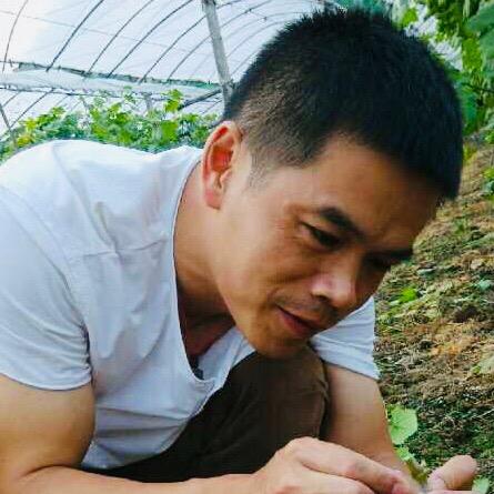 桐乡市洲泉湘溪人家特色农场