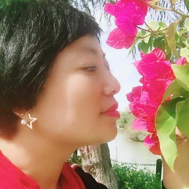 胖胖的美