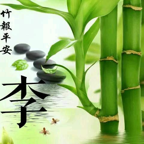 用户916591125