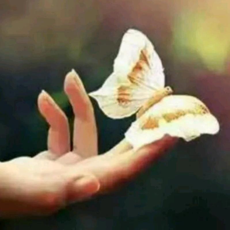 放飞自我🌺希雅霞