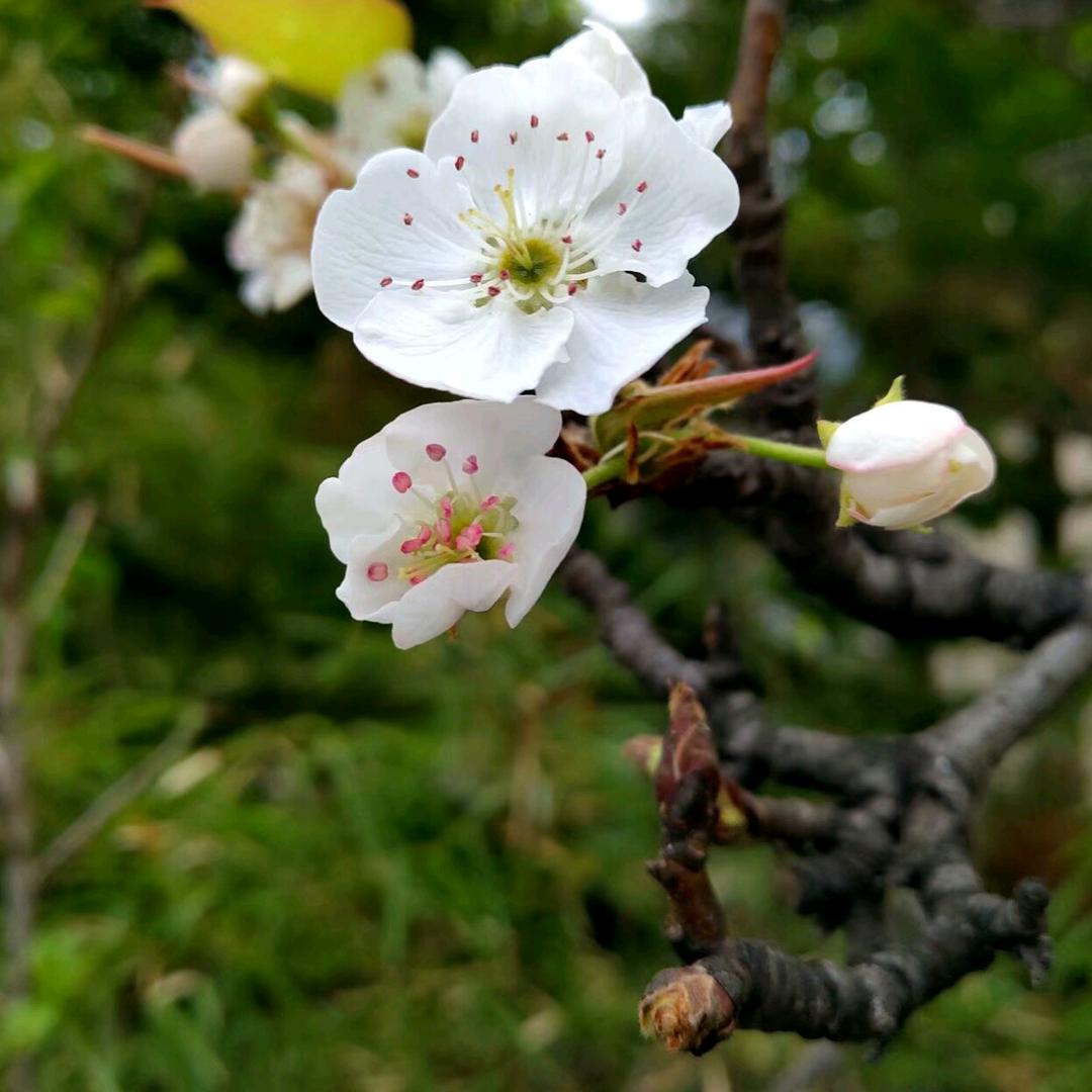 AAA云南建材企业