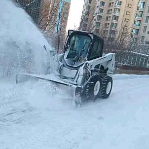 🌹️🌹️牡丹