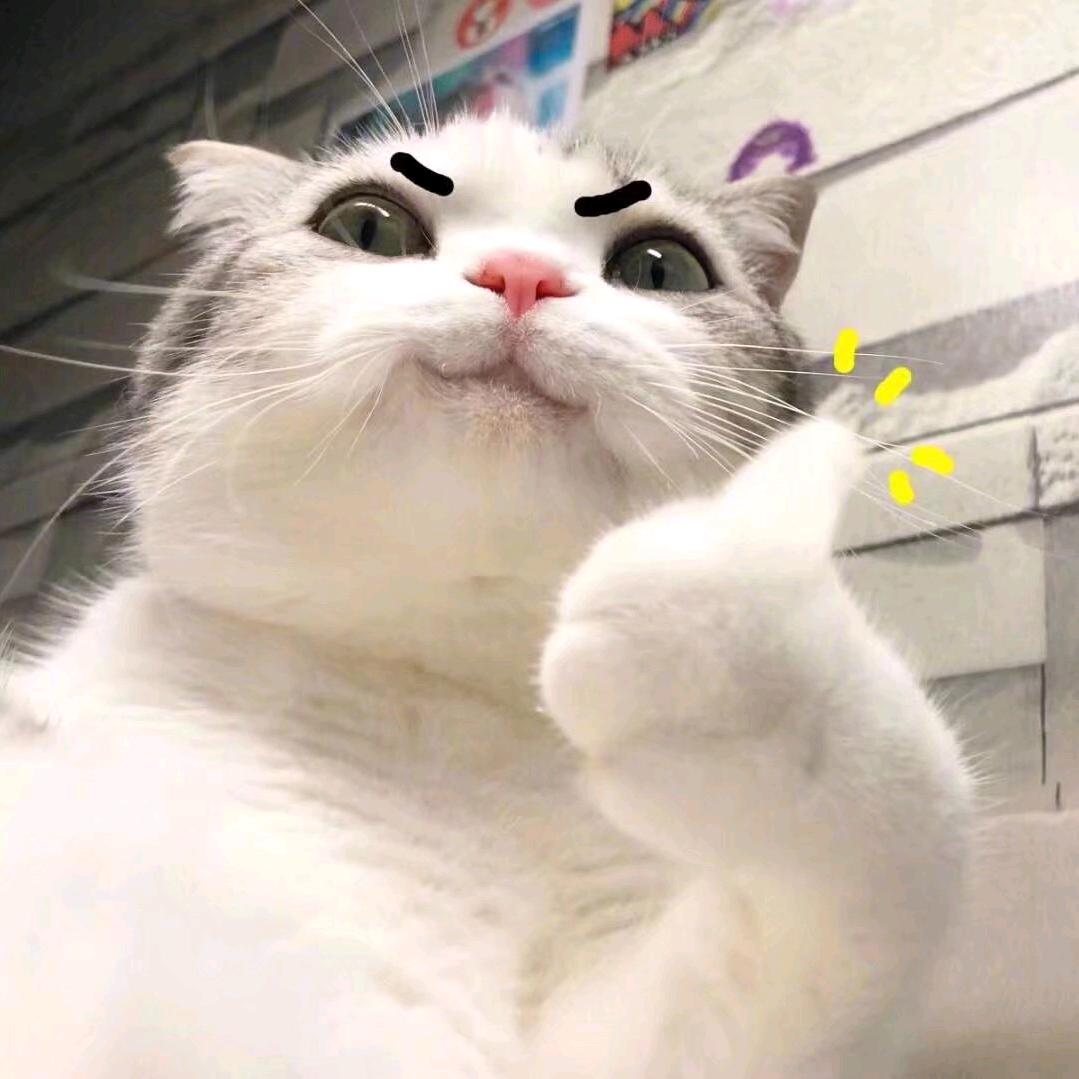如约而至