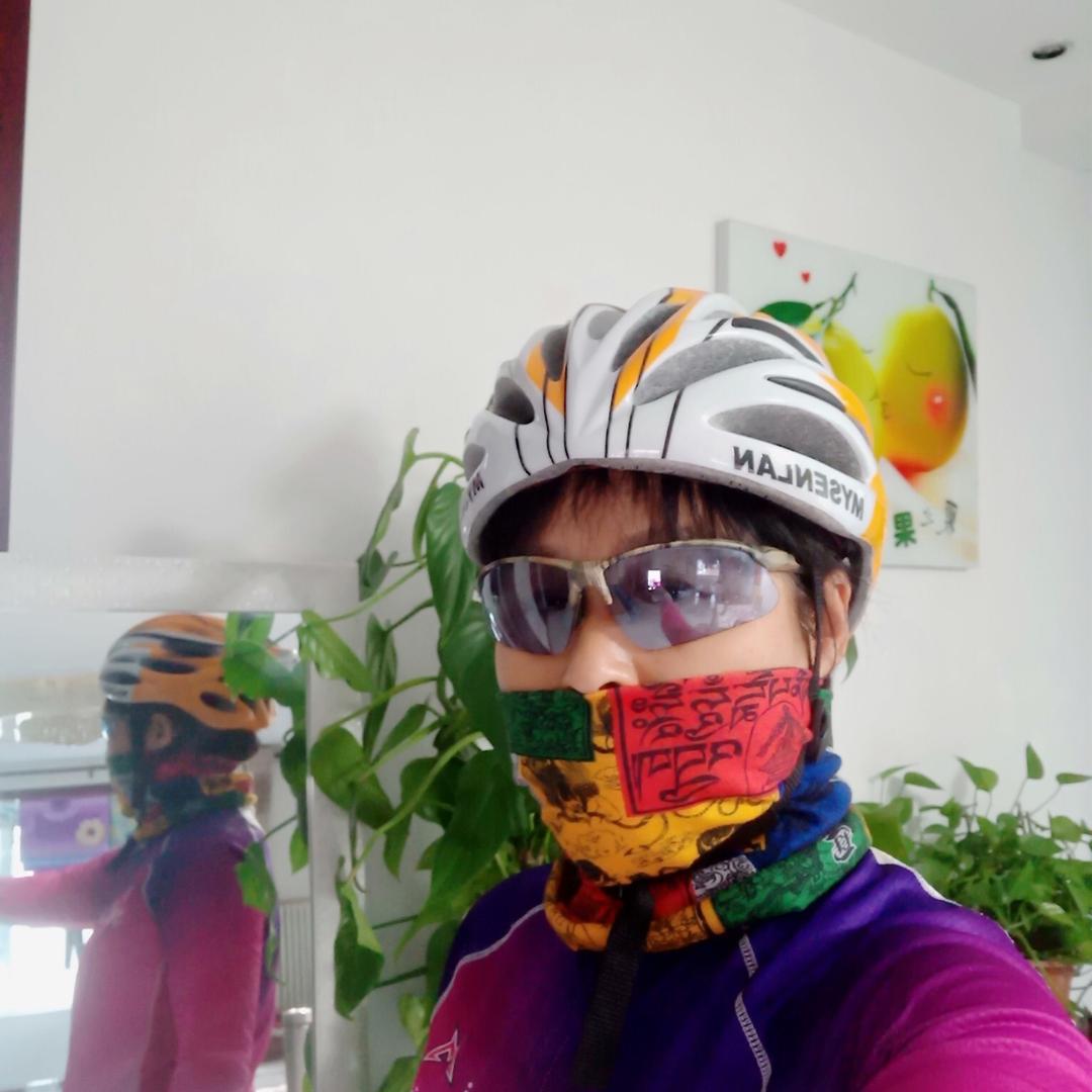 红梅傲雪2018岁月