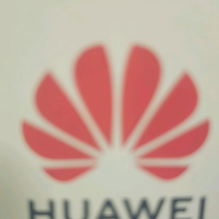 绝对痴情