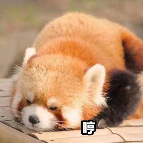 燃、