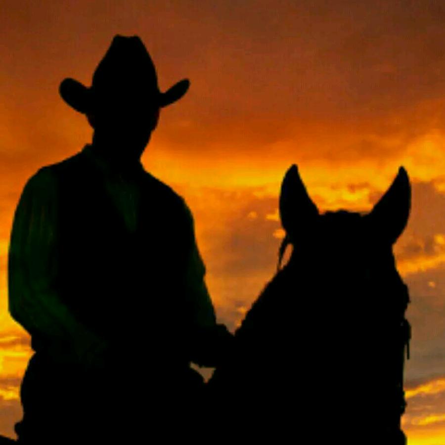 龙艺美术教育🇨🇳🇺🇦（代画）