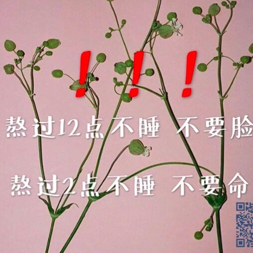 美媚们的日常