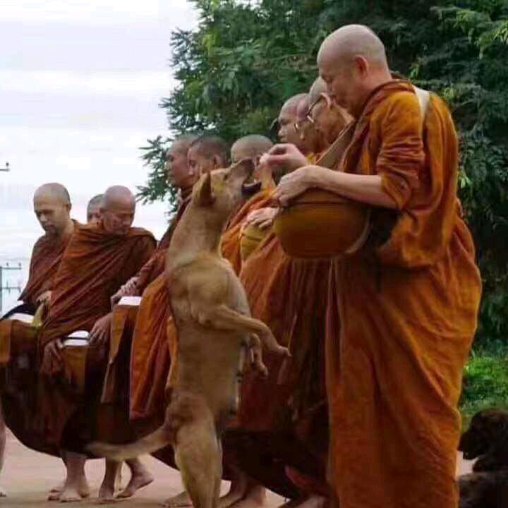 清莱印象