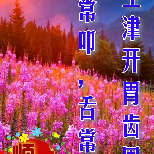 有你相伴