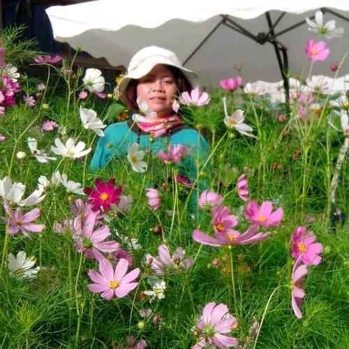 鼎士达 保温一体板 万水千山