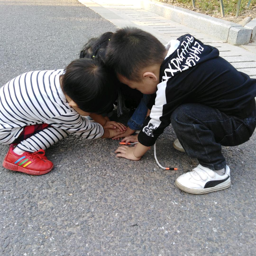 薰衣草