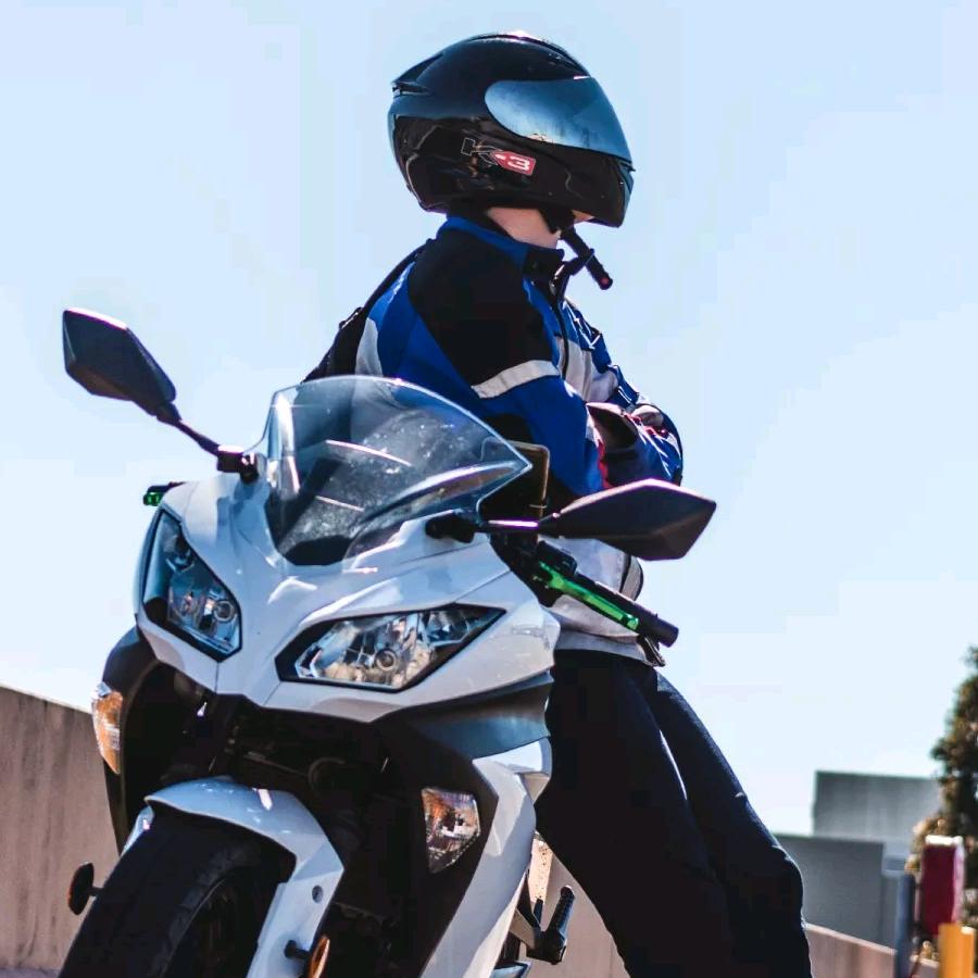 年年有余鱼鱼266