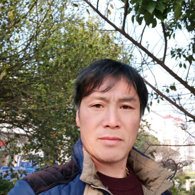 路行天下