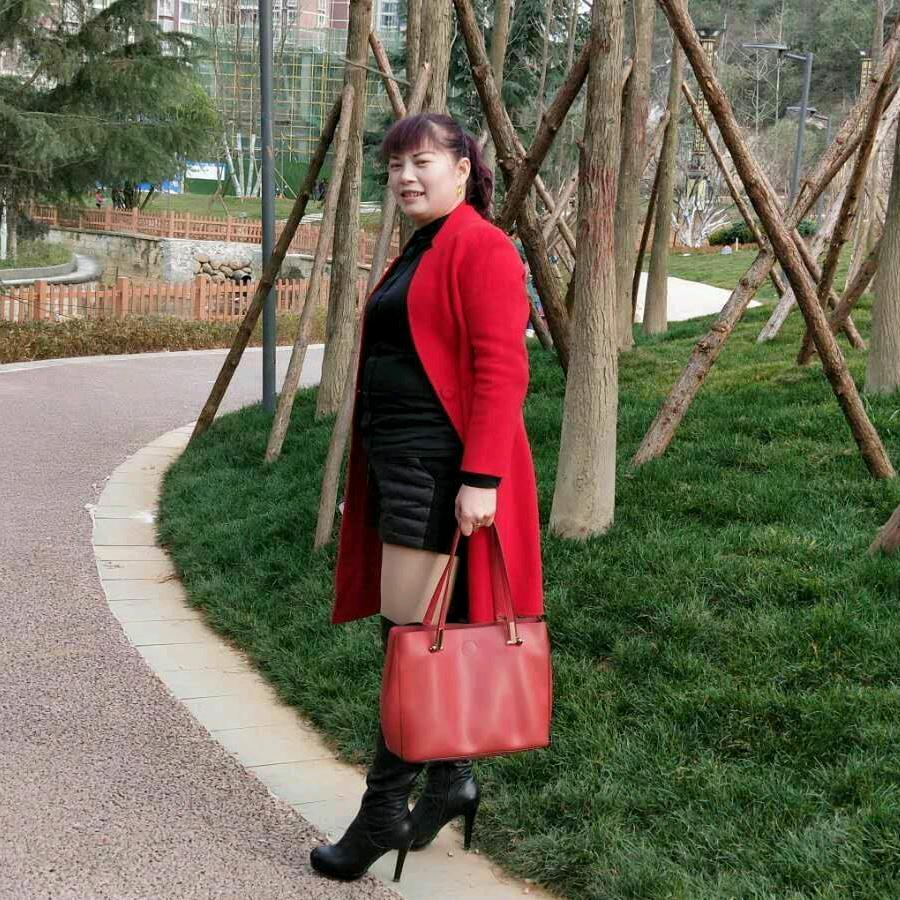 杨金菊
