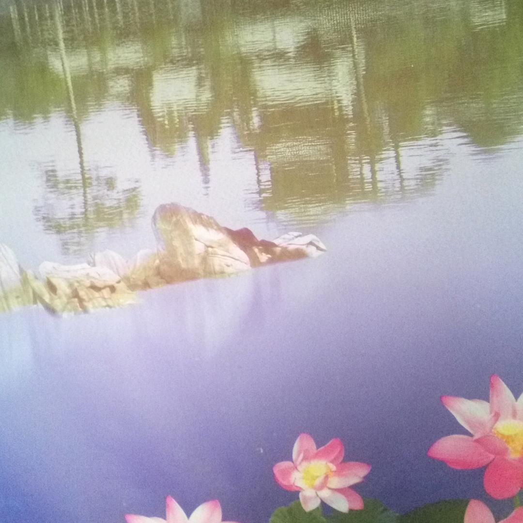 红尘醉清风