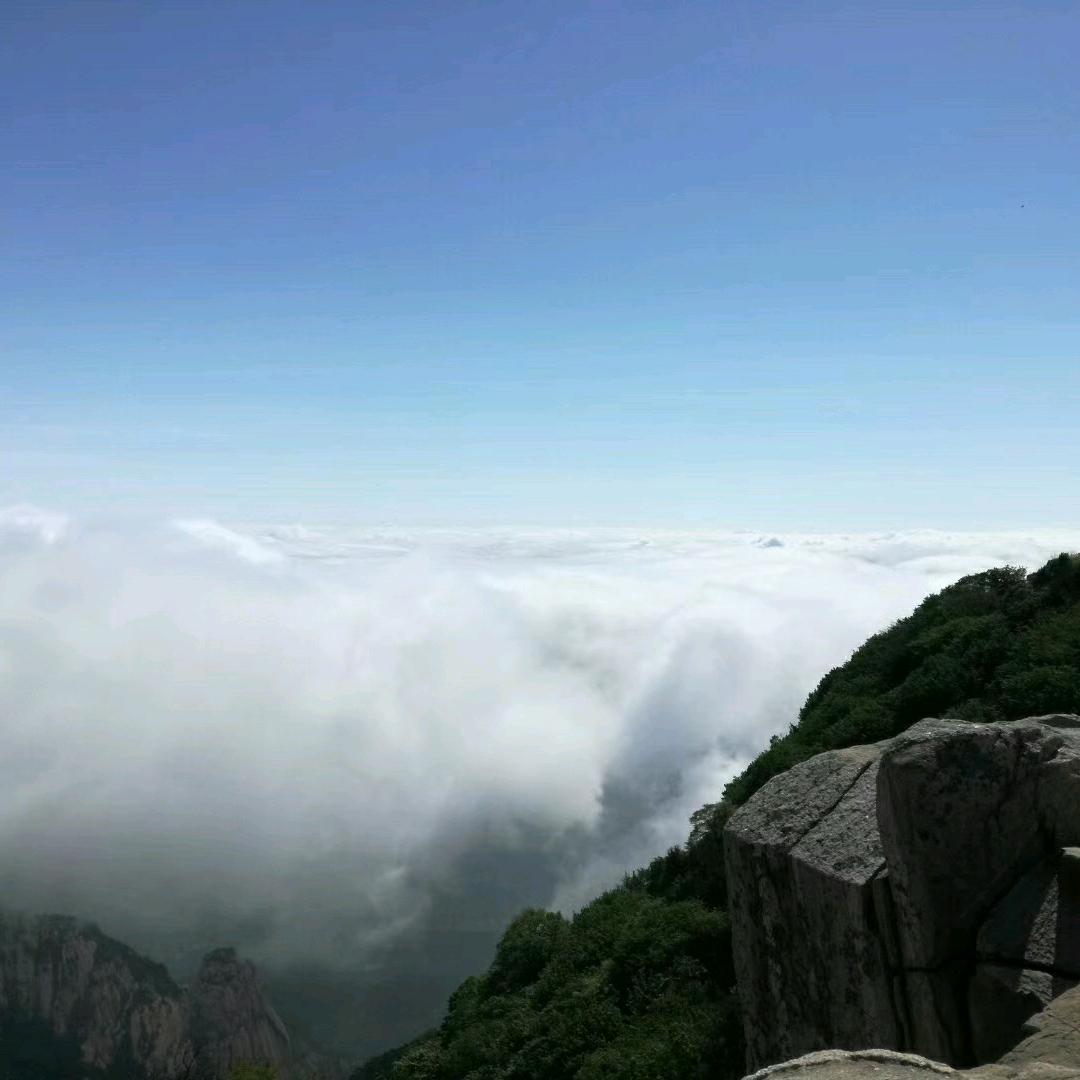 散淡人