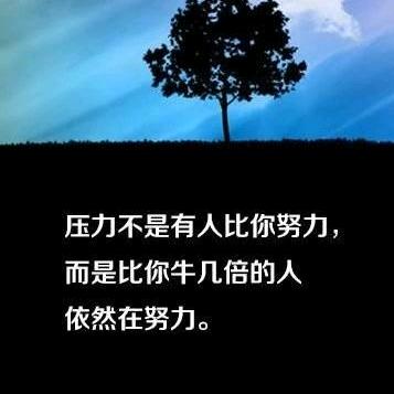 鹏程万里…