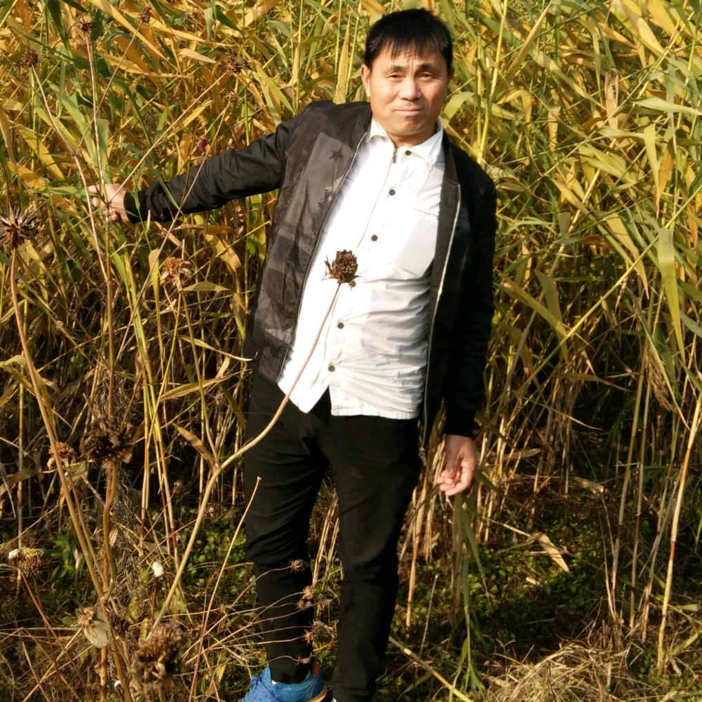 赤条条来去无牵挂