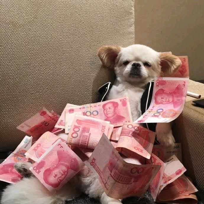 俞（愉）快小哥