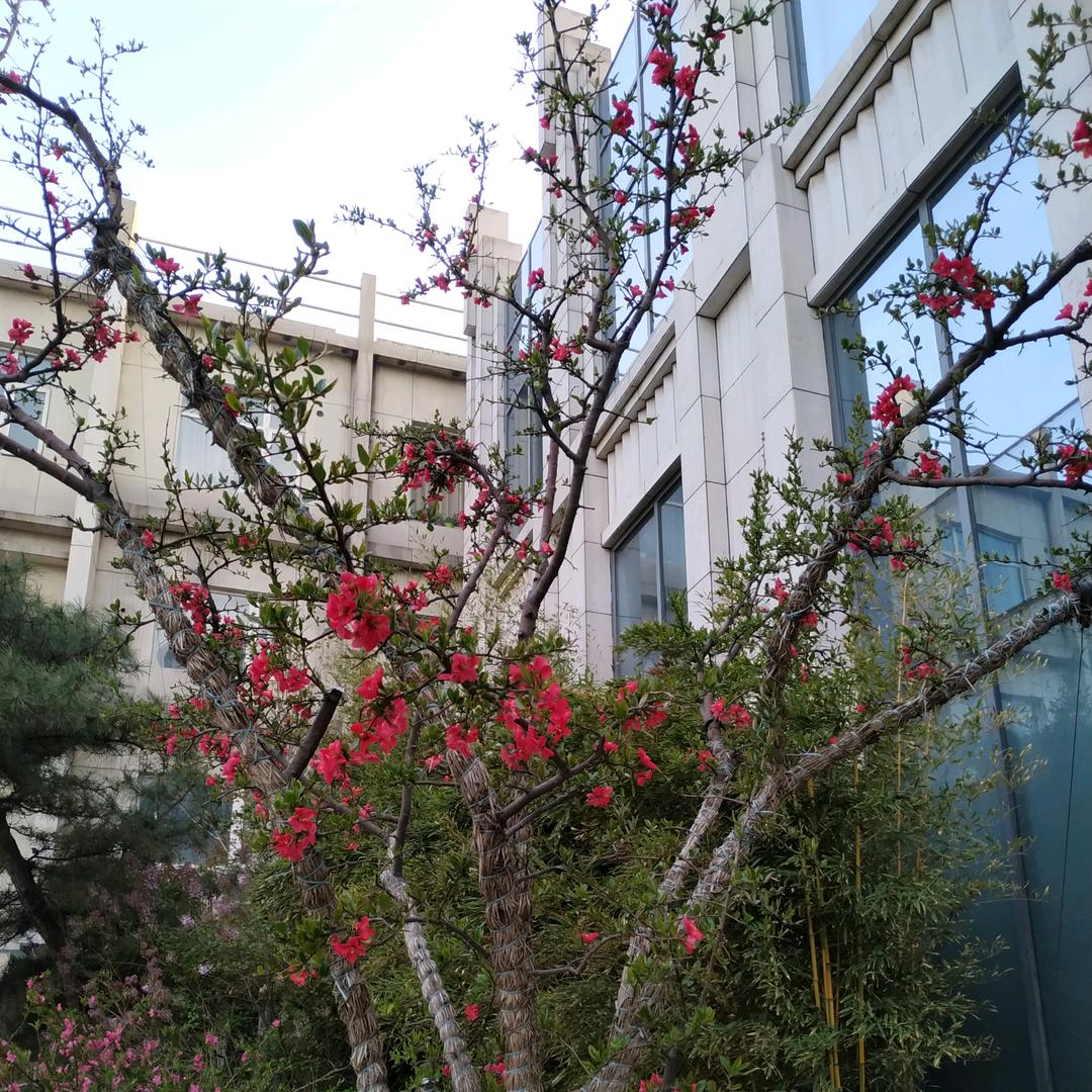 日出东方