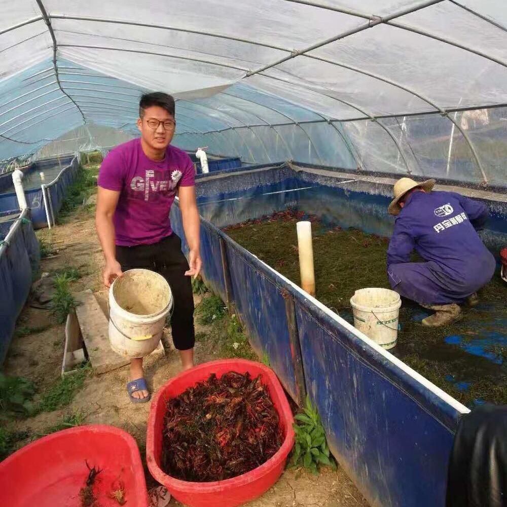 兴化有才水蛭购销一条龙