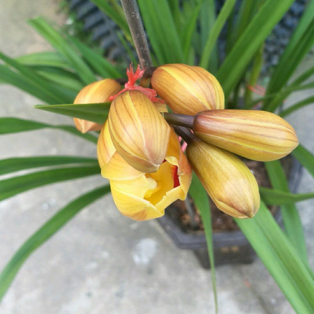 简单，就是幸福