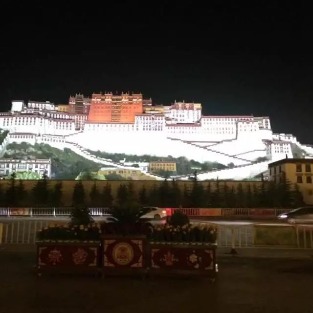 涛哥