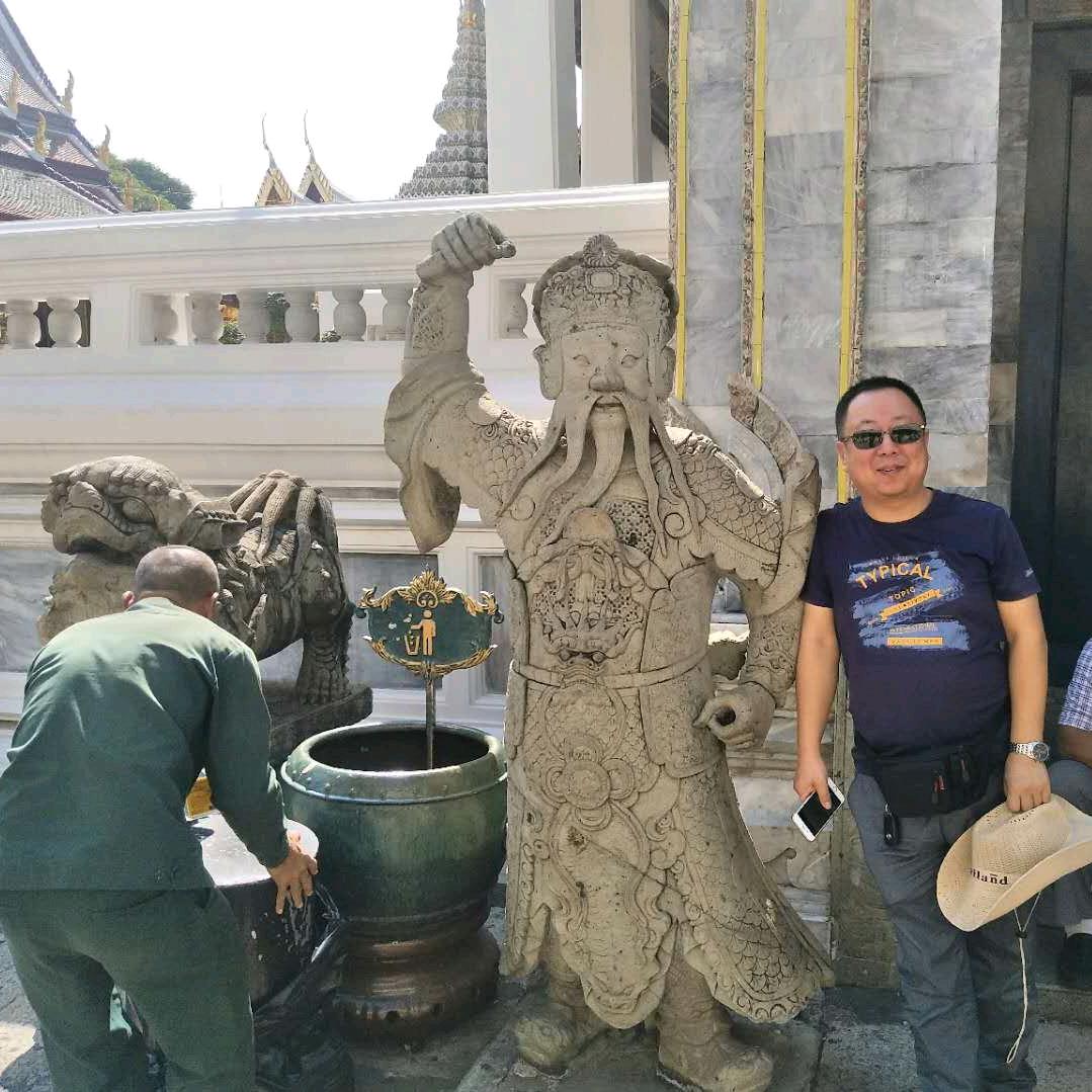 阳光下的向日葵